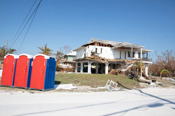 Reliable Sandusky, MI Tree Removal Solutions